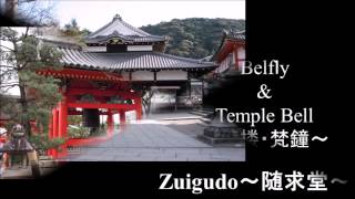 Tainai Meguri