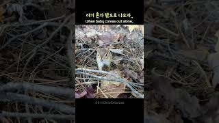 아기가 혼자 밖으로 나오자..!