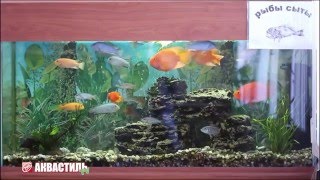 Как сделать аквариум. Аквариум своими руками