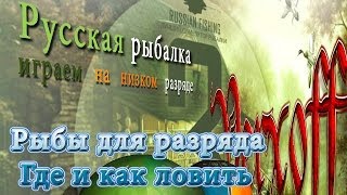 Ловим Глубинная щука база Онего Русская рыбалка 3.7.4