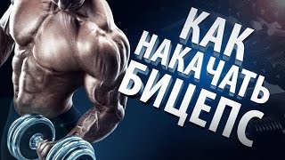 Упражнения на бицепс. Как правильно накачать бицепс.