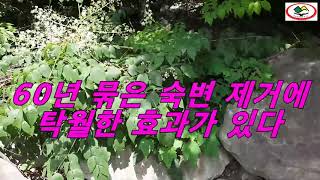 60년 묵은 숙변을 깔끔하게 청소 똥배도 쑥~!