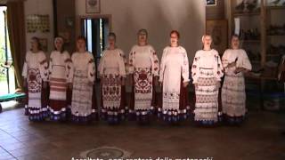 «Рыба – все карасики» (Pesce – sempre carassi), Lucinushka 2014