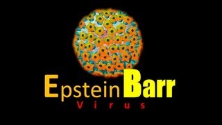 Generalidades EBV - Virus de Epstein Barr