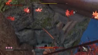Getting Dunked on in Sekiro