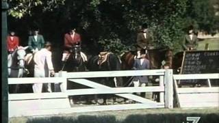 Diane Baker - Il cavallo in doppio petto