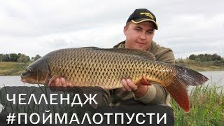 Карпфишинг. Челлендж #поймалотпусти.