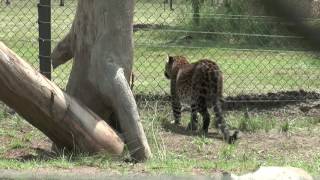Bakari's journey to his new home