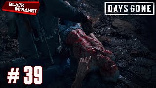 ВСЕ ВИДЫ ЗОМБИ В DAYS GONE | НОВАЯ ЭПОХА | DAYS GONE (2019) | ЖИЗНЬ ПОСЛЕ | DAY # 39
