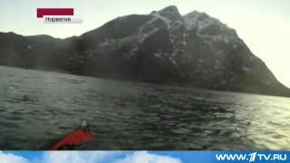 Редкие кадры китов.Норвежский спортсмен снял на видео кита прямо у свей лодки