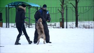 Фигурант девочка идет под стаффа