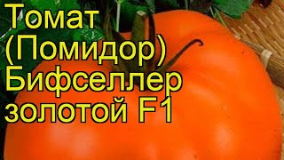 Томат обыкновенный Бифселлер золотой F1. Краткий обзор, описание характеристик, где купить семена