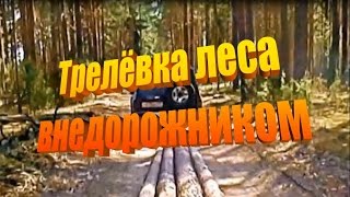 Трелёвка леса внедорожником.