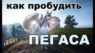 Black Desert (MMORPG) - ?Пегас в BDO. Пробуждение, фарм итемов