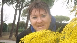 Франция.Запуганная мужем буржуИнка,говорящая на французском