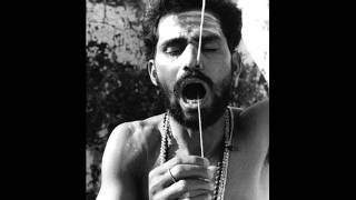 Sanskrit Rap