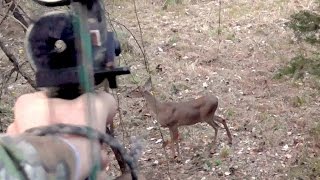 Double Doe Archery Kill - Oct 14, 2014