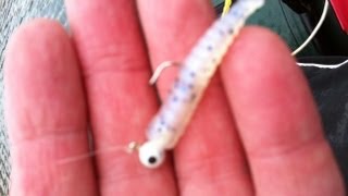 Crappie Magnet Magic