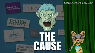 The Cause