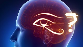 O Que Você Ainda Não Sabe Sobre A Glândula Pineal