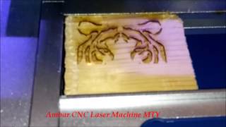 Maquina laser co2 de 40w Grabado de tigre en madera