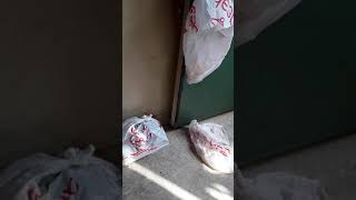 Girl coughing