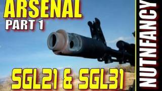 ARSENAL SGL21/SGL31:  "The AK Gold Standard Pt 1" by Nutnfancy