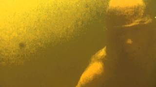 Anima (GuGabriel)