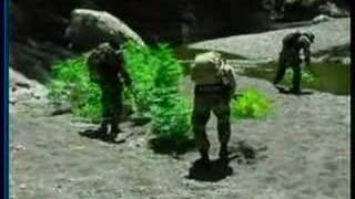 Humboldt County votes to legalize it!