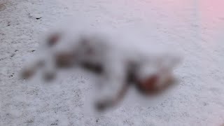[132th] 추운 겨울에 눈이 되어 떠난 아이 a child left in cold winter snow