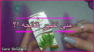 أفضل زيت طبيعي للشعر! ريفيو عن زيت الجرجير المذهل