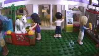 Lego ЗООМАГАЗИН. PETS.  Клиника .Friends