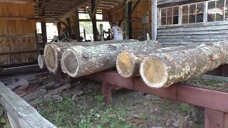 Saw Mill Demo @ Monkeyfest