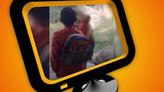 Kolkata alipur zoo animals attack 24 November 2017