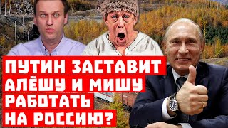 Дожили, куда смотрит Европа? Путин заставит Алёшу и Мишу работать на Россию?