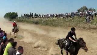 evinochori-kalidona.gr (ΙΠΠΙΚΟΣ ΟΜΙΛΟΣ 2010)