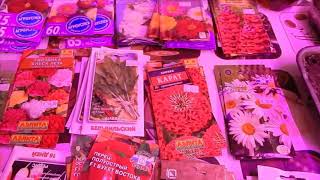 Сюрприз из Москвы.  Скоро весна. Сеем  цветы.  Югорск.