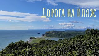 Дорога на пляж. Рояль в кустах