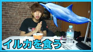 イルカを食べてみた I eat dolphin