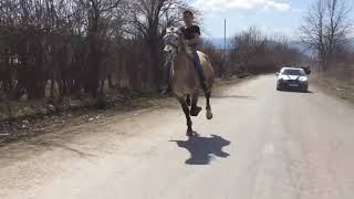 Скачки в Панкиси. დოღი პანკისში. Horse rasing in Pankisi. 2017.