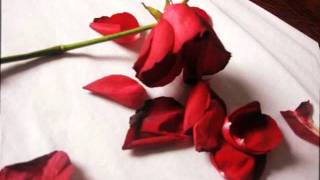 BRYAN FERRY - SLAVE TO LOVE  (Escravo do Amor) - legendado