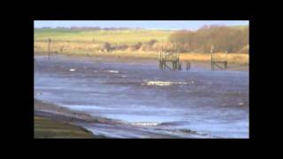 River Ribble Tidal Bore February 2014