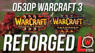 ОБЗОР WARCARFT 3 REFORGED (Ремастер варкрафт 3), дата выхода, геймплей