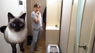 Типичный день в субботу.