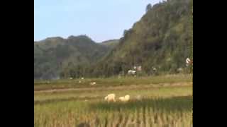 Nagreg Dari Pamujaan Melihat Gunung Mandalawangi & Kendan