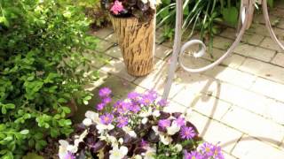 Annes garden アンズガーデンのオープンガーデン