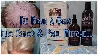 DE BRUN A GRIS DEGOULASSE (3° Partie) Patine | Luo Color P01 & P02 & UT