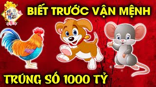 TOP 3 CON GIÁP BIẾT ĐƯỢC MỆNH TRỜI, GẶP THỜI CẢI VẬN, ĐÁNH ĐÂU THẮNG ĐẤY, TIỀN VỀ XỐI XẢ.
