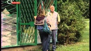 Город-репортаж: Голубятни