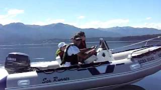 Yamaha F40 vs Mercury 40
